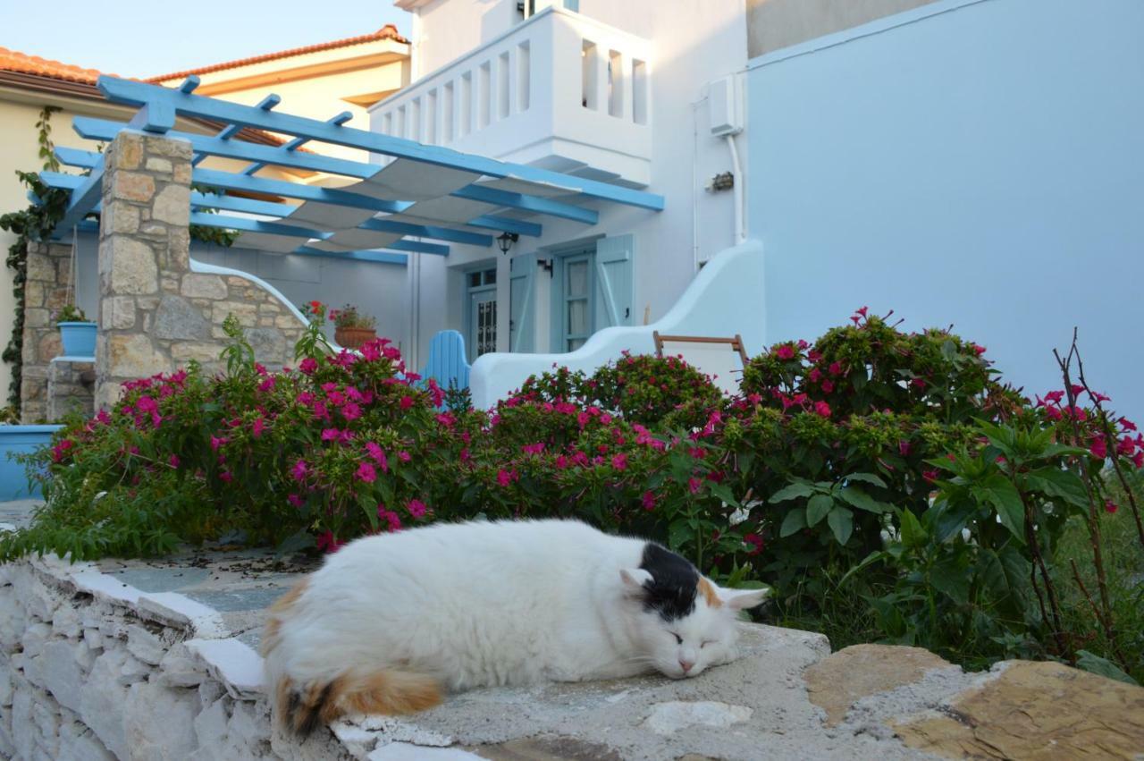 Stella'S Traditional House. Alónnisos المظهر الخارجي الصورة